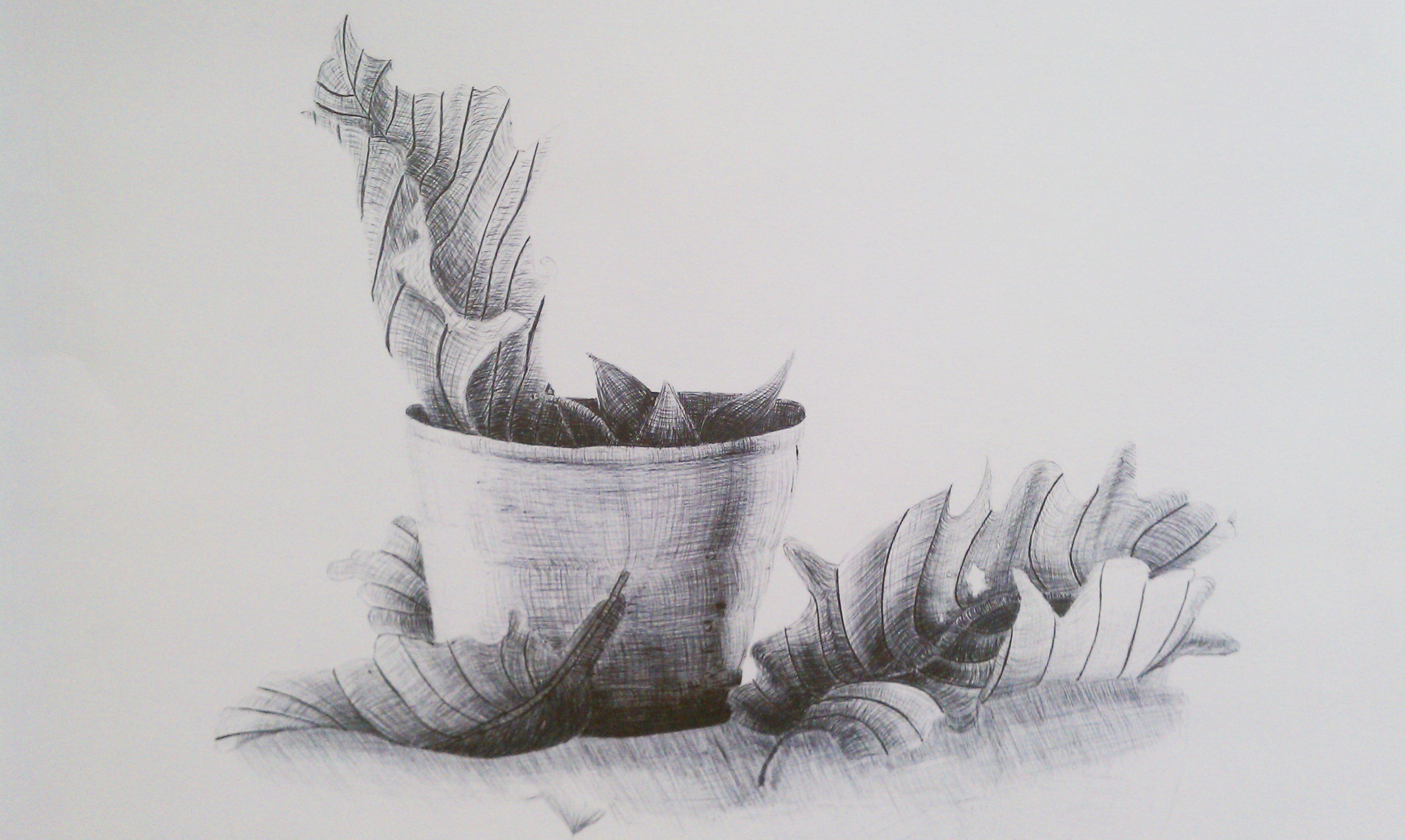 IMAG1578.jpg Art